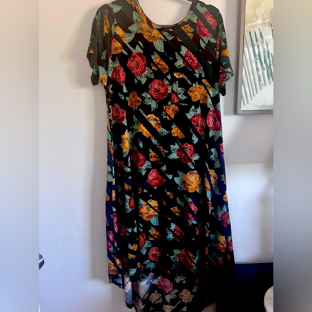 Lularoe Carly dress. Rayon material. Size L. washed never dried